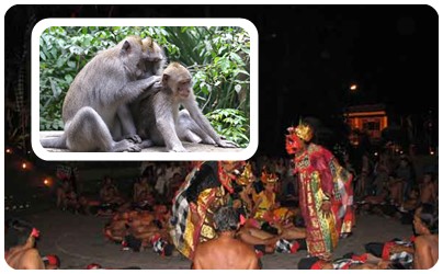 Bali Ubud dan Sukawati Tours | Bali Ubud Tours | Bali Sukawati Tours | Bali Tours